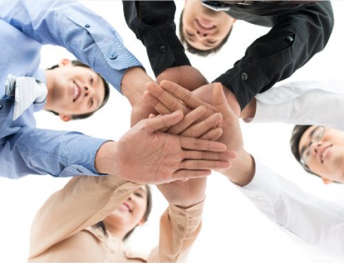 Our Businesses